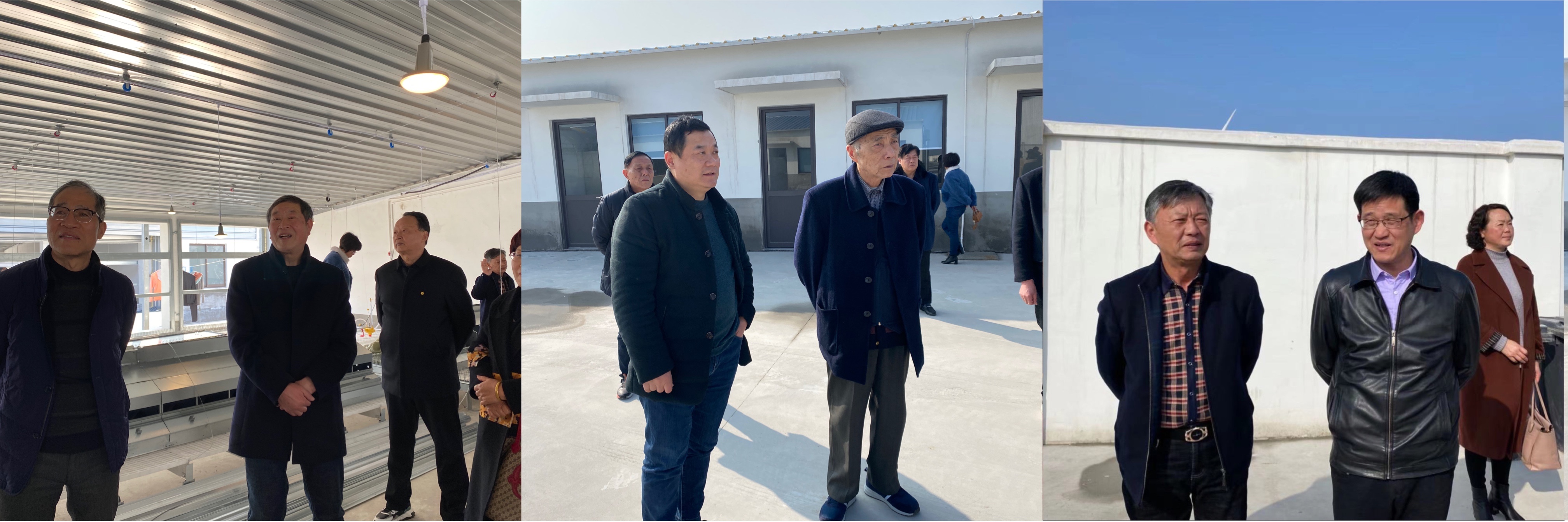 1-21030Q12616205 LETOU - 乐投(中文)官方网站
