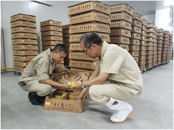 1-210Q2101R5238 LETOU - 乐投(中文)官方网站