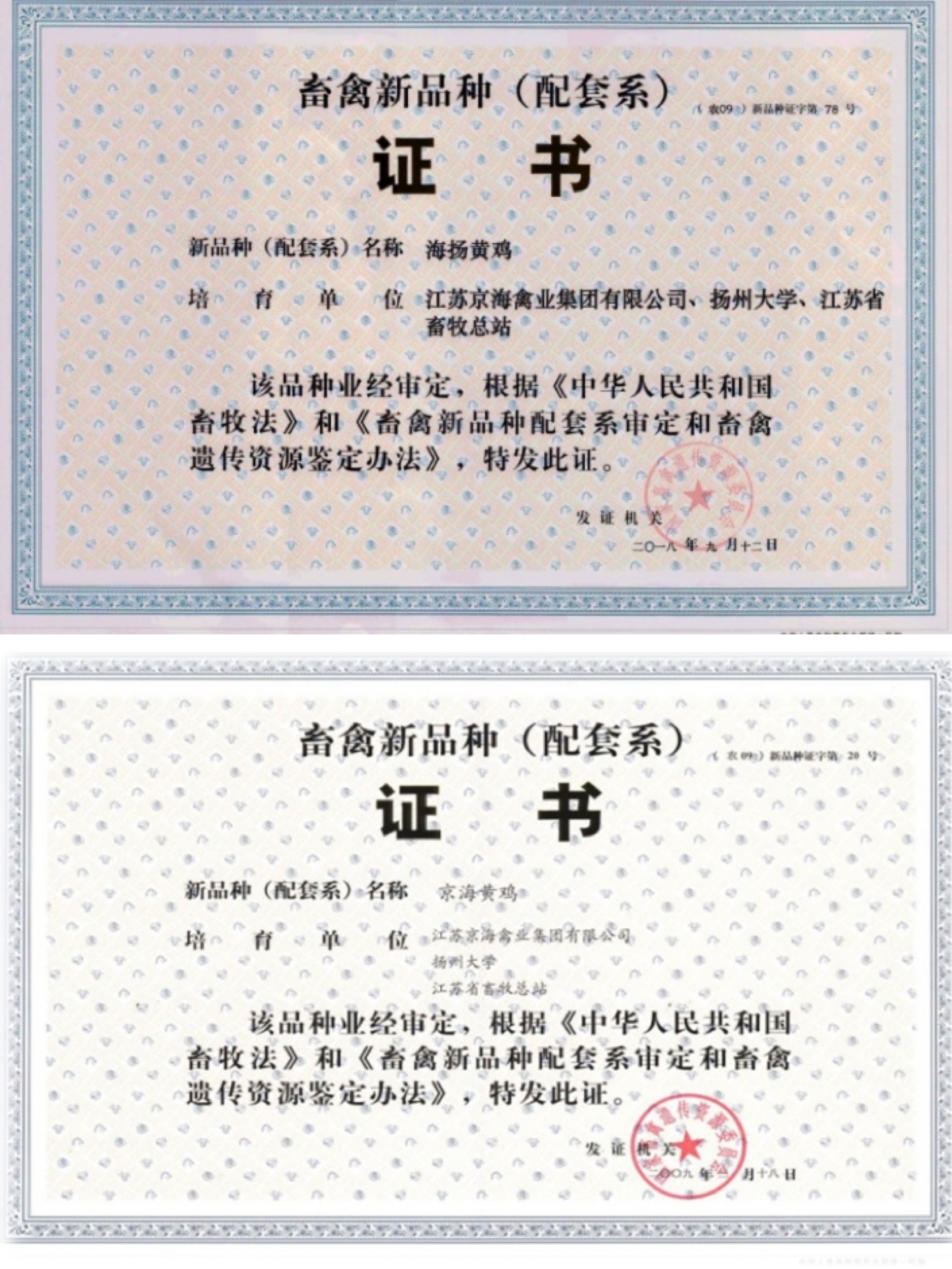 1-2109220S910350 LETOU - ÀÖͶ(ÖÐÎÄ)¹Ù·½ÍøÕ¾