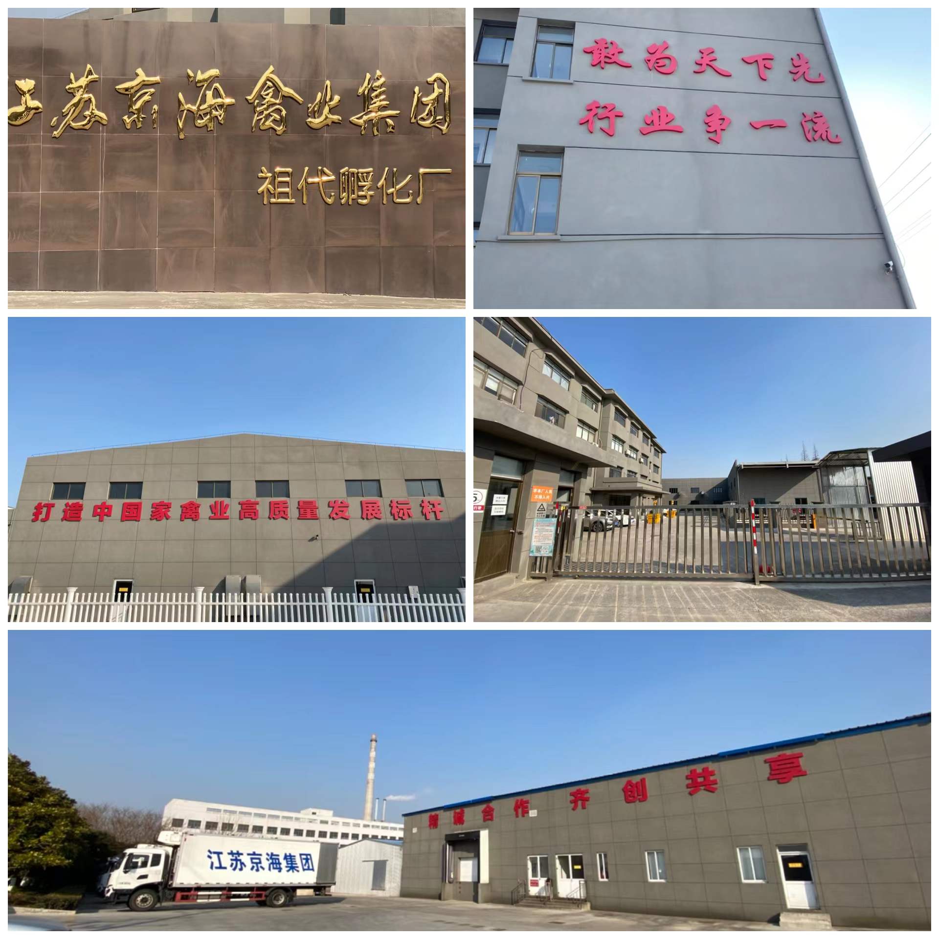 1-22011G1110LQ LETOU - 乐投(中文)官方网站