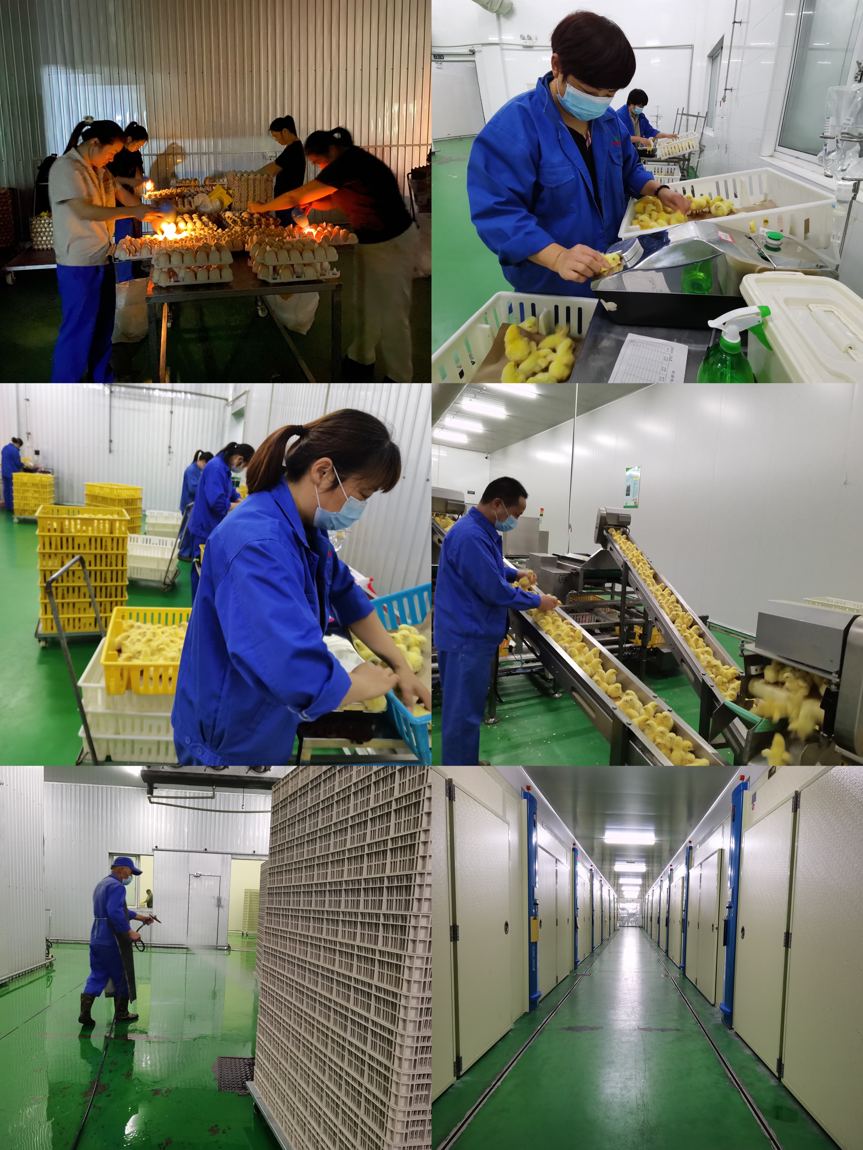 1-22011G122064M LETOU - 乐投(中文)官方网站