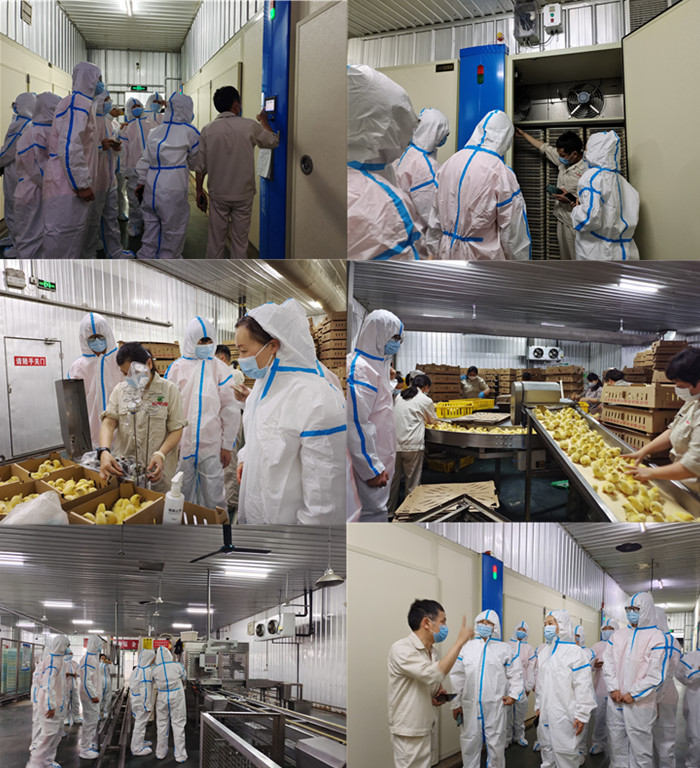 1-2206010Q42YV LETOU - 乐投(中文)官方网站