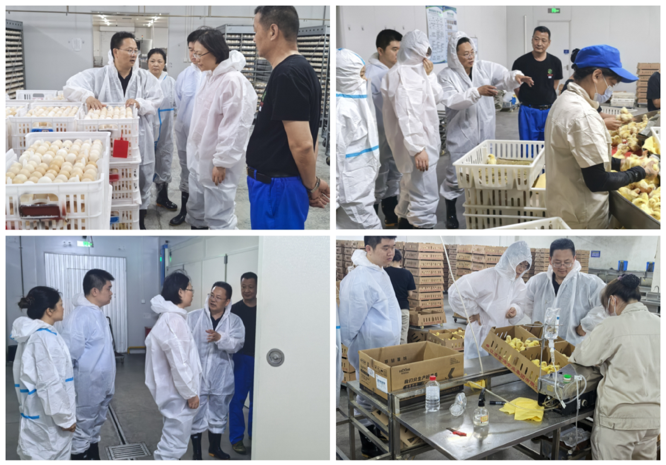 1-25052310420W14 LETOU - 乐投(中文)官方网站