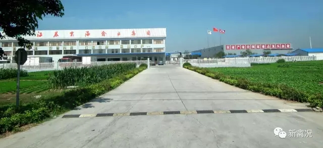 clip_image003.jpg
