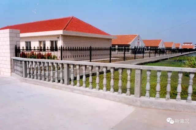 clip_image011.jpg