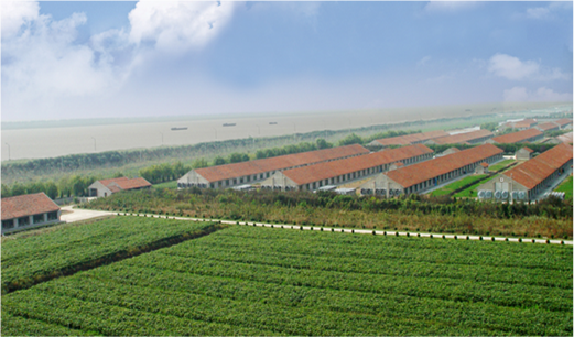 LETOU乐投集团公司种鸡场鸟瞰图.png LETOU乐投集团公司种鸡场鸟瞰图.png